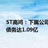 ST高鸿：下属公司逾期债务达1.09亿