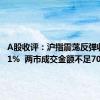 A股收评：沪指震荡反弹收涨0.31%  两市成交金额不足7000亿