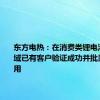 东方电热：在消费类锂电池材料领域已有客户验证成功并批量交付使用