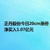 正丹股份今日20cm涨停 一机构净买入1.07亿元