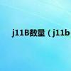 j11B数量（j11b）