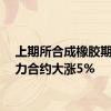 上期所合成橡胶期货主力合约大涨5%