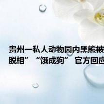 贵州一私人动物园内黑熊被曝“瘦脱相”“饿成狗” 官方回应