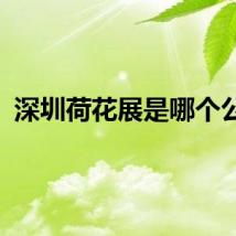 深圳荷花展是哪个公园