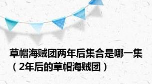 草帽海贼团两年后集合是哪一集（2年后的草帽海贼团）