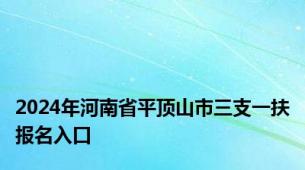 2024年河南省平顶山市三支一扶报名入口