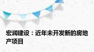 宏润建设：近年未开发新的房地产项目