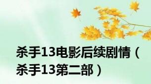 杀手13电影后续剧情（杀手13第二部）