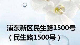 浦东新区民生路1500号（民生路1500号）