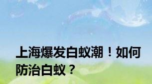 上海爆发白蚁潮！如何防治白蚁？