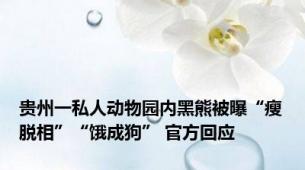 贵州一私人动物园内黑熊被曝“瘦脱相”“饿成狗” 官方回应