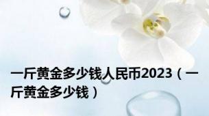 一斤黄金多少钱人民币2023（一斤黄金多少钱）