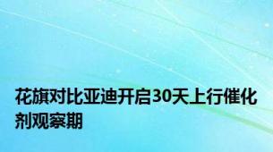 花旗对比亚迪开启30天上行催化剂观察期