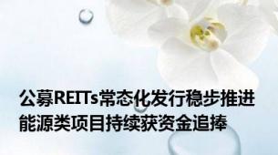 公募REITs常态化发行稳步推进 能源类项目持续获资金追捧