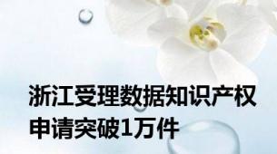 浙江受理数据知识产权申请突破1万件