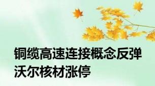 铜缆高速连接概念反弹 沃尔核材涨停