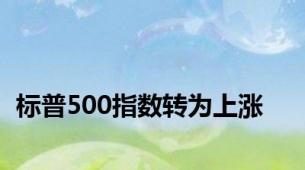 标普500指数转为上涨