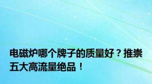 电磁炉哪个牌子的质量好？推崇五大高流量绝品！