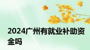 2024广州有就业补助资金吗