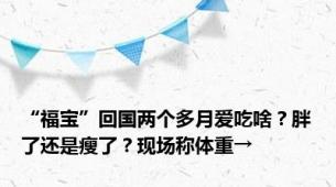 “福宝”回国两个多月爱吃啥？胖了还是瘦了？现场称体重→