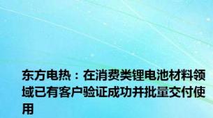 东方电热：在消费类锂电池材料领域已有客户验证成功并批量交付使用