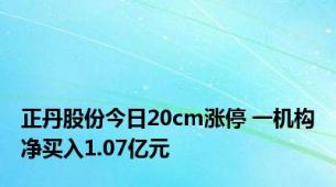 正丹股份今日20cm涨停 一机构净买入1.07亿元