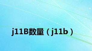 j11B数量（j11b）