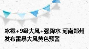 冰雹+9级大风+强降水 河南郑州发布雷暴大风黄色预警