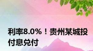 利率8.0%！贵州某城投付息兑付