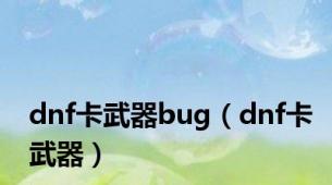 dnf卡武器bug（dnf卡武器）