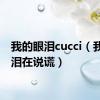 我的眼泪cucci（我的眼泪在说谎）