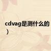 cdvag是测什么的（cdv）