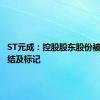 ST元成：控股股东股份被司法冻结及标记