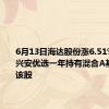 6月13日海达股份涨6.51%，华安兴安优选一年持有混合A基金重仓该股
