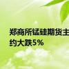 郑商所锰硅期货主力合约大跌5%