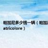 帕加尼多少钱一辆（帕加尼zondatricolore）