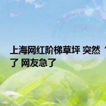 上海网红阶梯草坪 突然“斑秃”了 网友急了