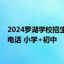 2024罗湖学校招生咨询电话 小学+初中