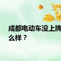 成都电动车没上牌会怎么样？