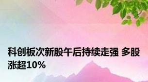 科创板次新股午后持续走强 多股涨超10%