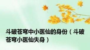 斗破苍穹中小医仙的身份（斗破苍穹小医仙失身）