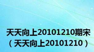 天天向上20101210期宋（天天向上20101210）