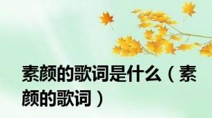 素颜的歌词是什么（素颜的歌词）