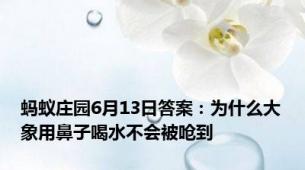 蚂蚁庄园6月13日答案：为什么大象用鼻子喝水不会被呛到