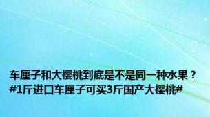 车厘子和大樱桃到底是不是同一种水果？#1斤进口车厘子可买3斤国产大樱桃#