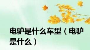 电驴是什么车型（电驴是什么）