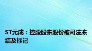 ST元成：控股股东股份被司法冻结及标记