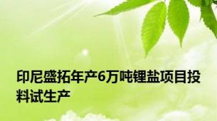 印尼盛拓年产6万吨锂盐项目投料试生产