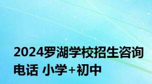 2024罗湖学校招生咨询电话 小学+初中