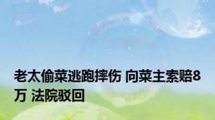 老太偷菜逃跑摔伤 向菜主索赔8万 法院驳回